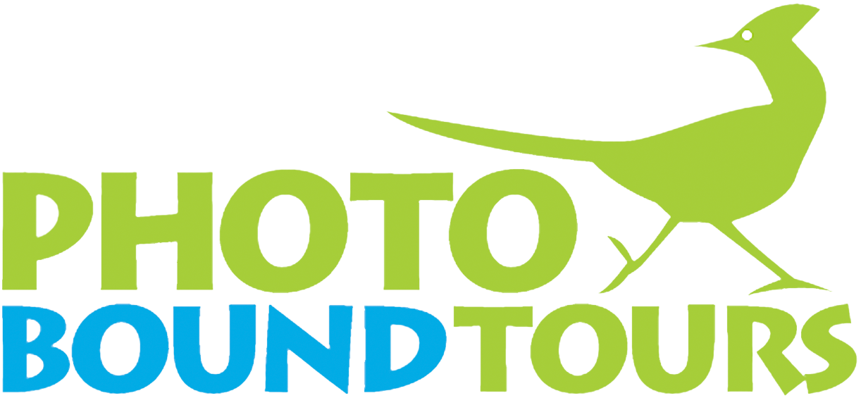 PBT-logo-white-2 Photo Bound Tours